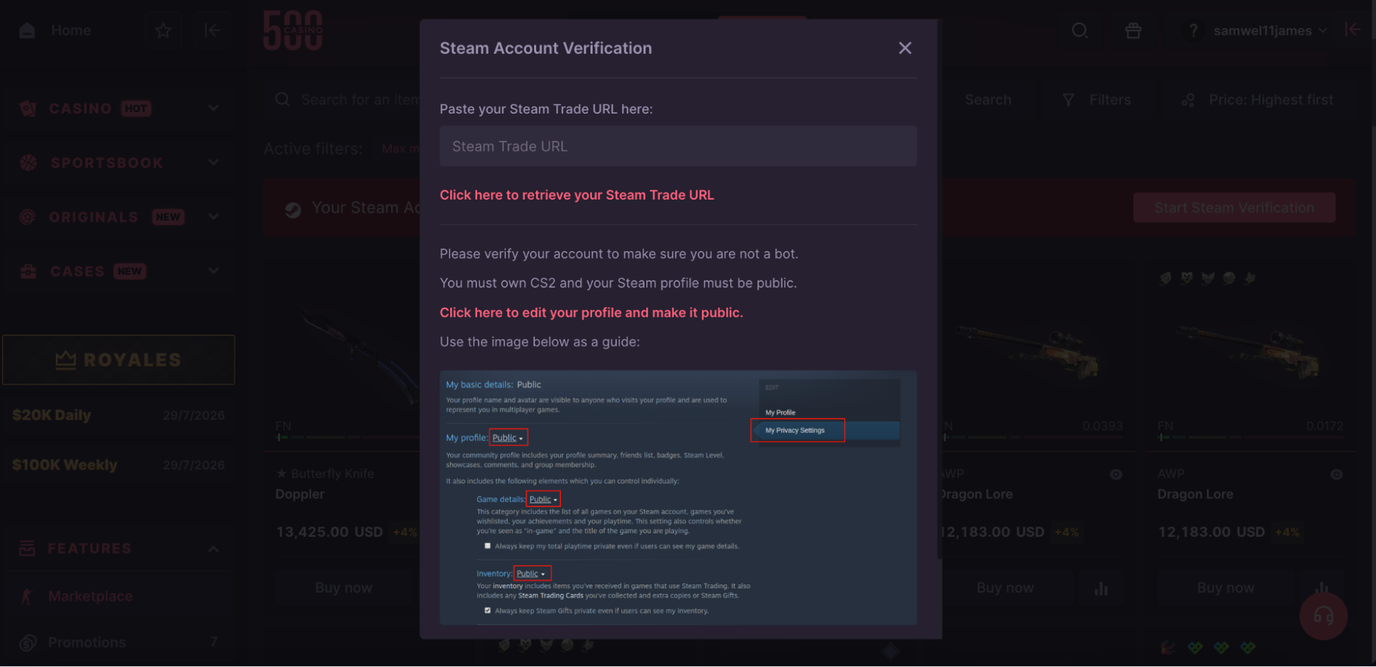 CSGO500 steam account verification page